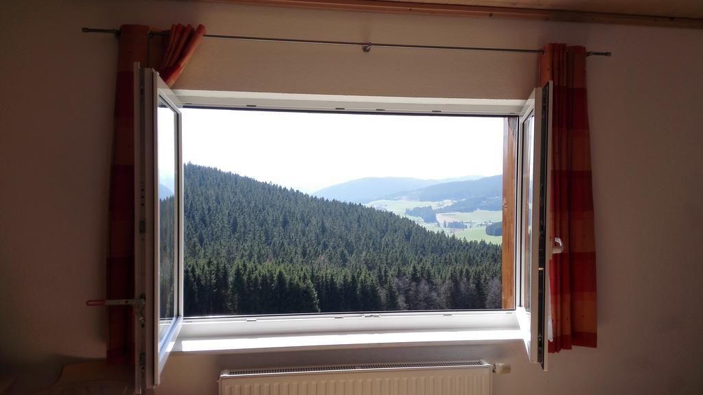 Pension Forsthaus Taele - Das Gaestehaus Vom Schwarzwaldgasthaus Salenhof Titisee-Neustadt Exterior photo